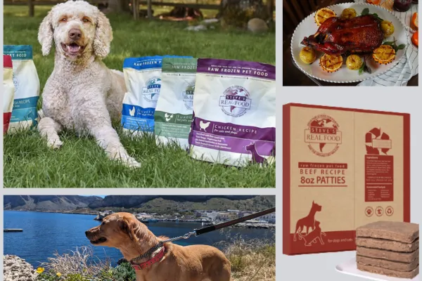 Steve’s Real Food Review: Is This the Best Frozen & Dehydrated Raw Dog Food?