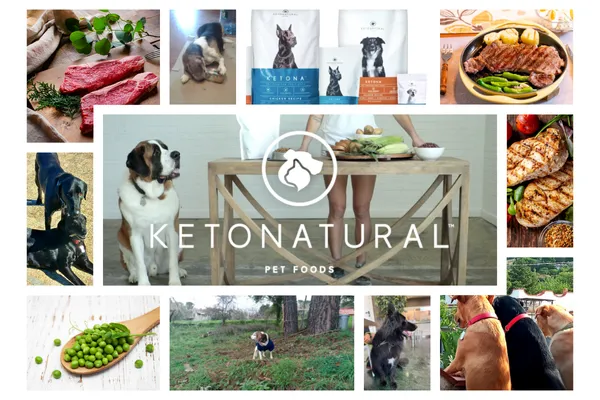 Ketona Dog Food Review 
