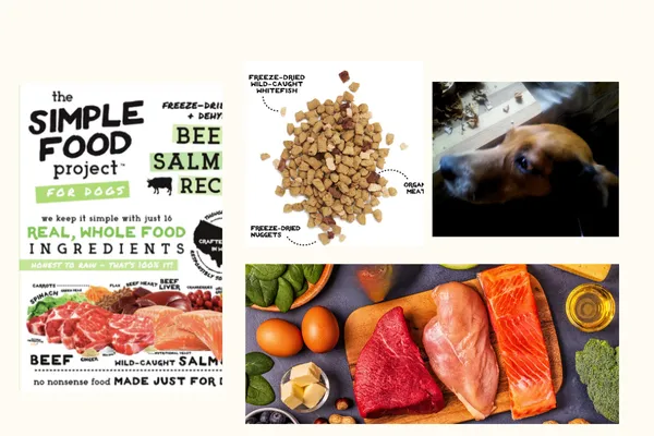The Simple Food Project Dog Food Review