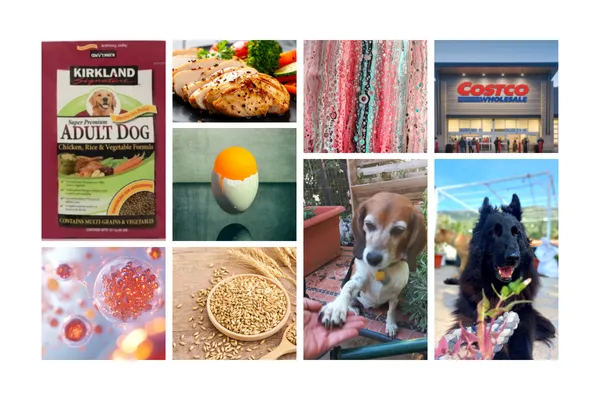 Costco kirkland dog food review blog header