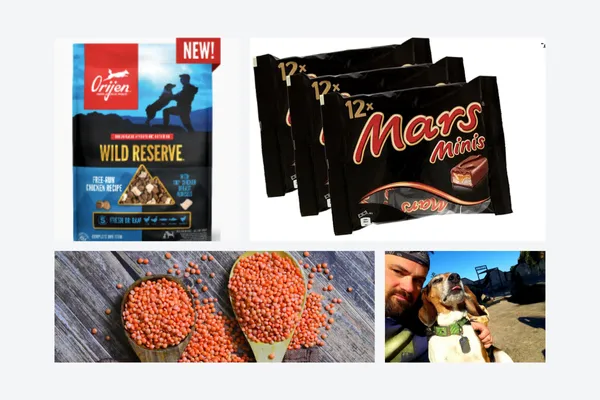 orijen six fish dog food review blog header