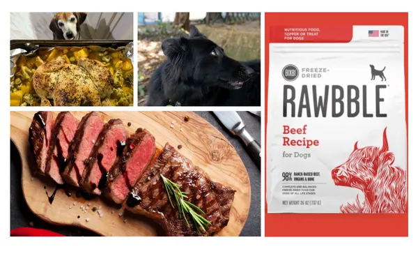 Bixbi Rawbble Dog Food Review (Beef Recipe)