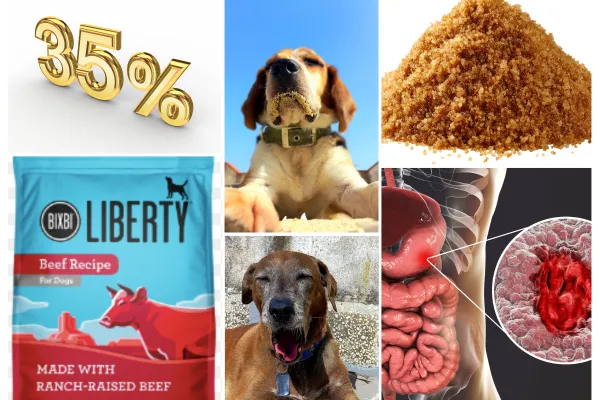 bixbi liberty dog food review blog image