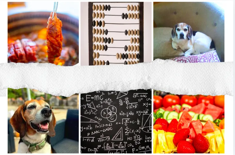 How Much Homemade Dog Food Should You Feed Your Dog?