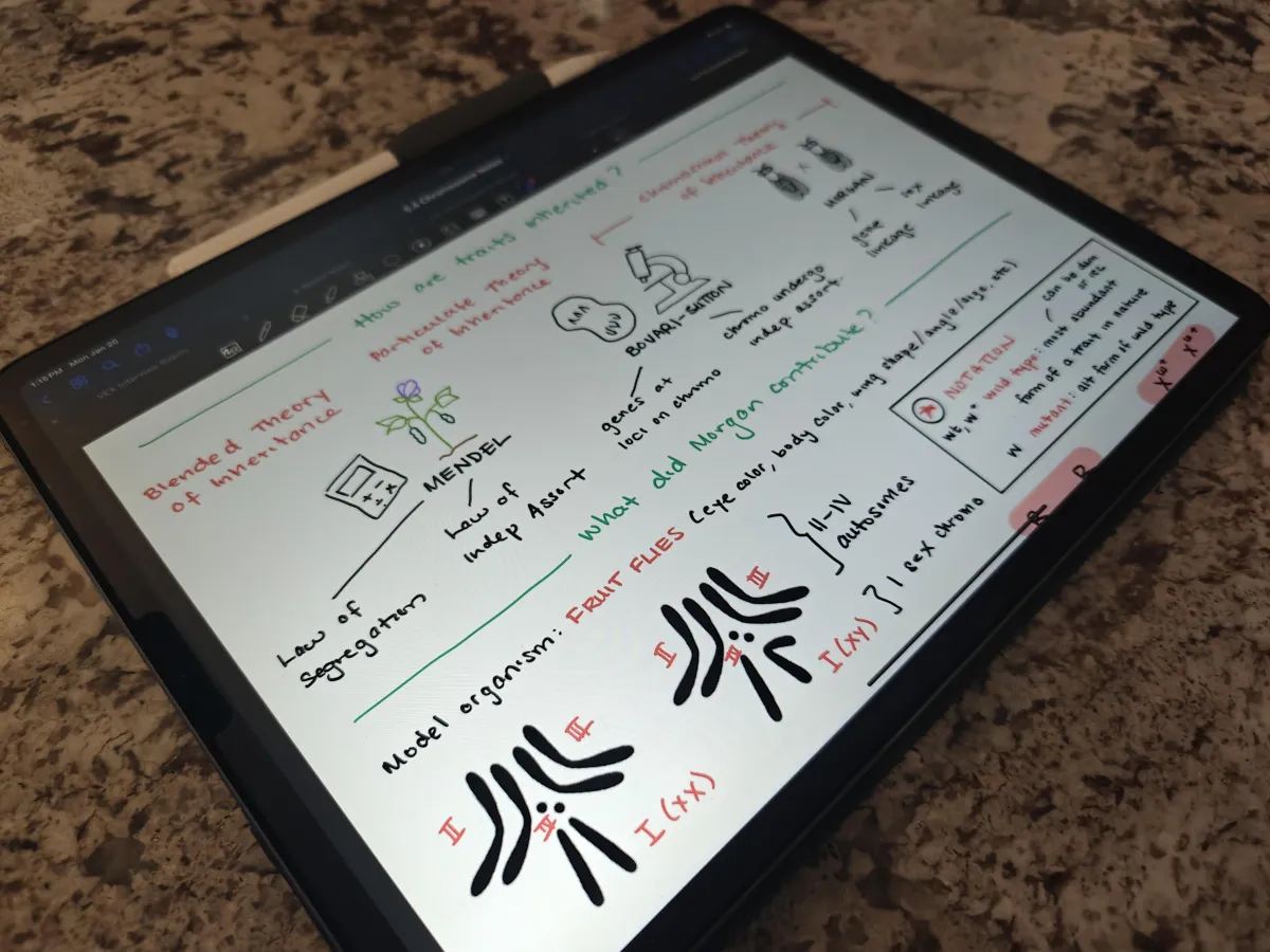 iPad notes