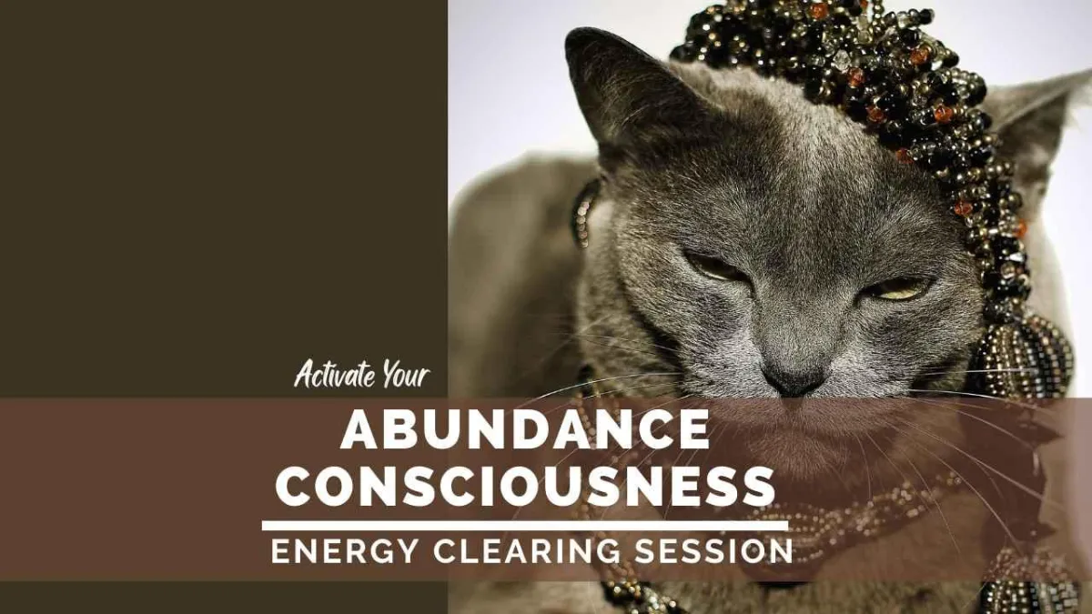 Activate Your Abundance Consciousness