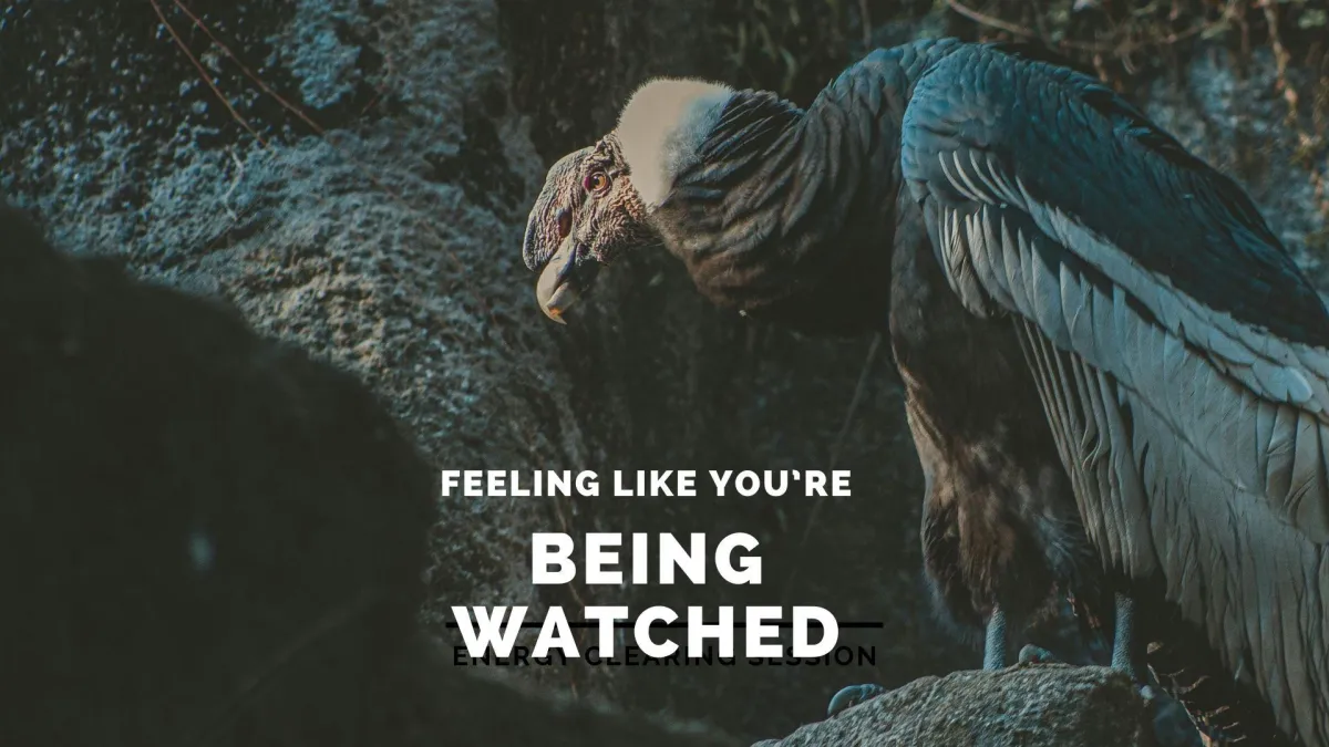 Energy Clearing Session For Feeling Watched