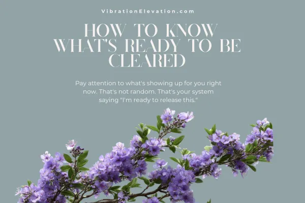 How to Know What's Ready to Be Cleared: Reading Your System's Signals
