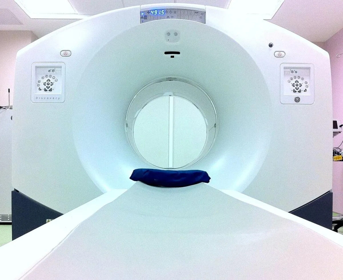 Your brain needs novelty to avoid burnout