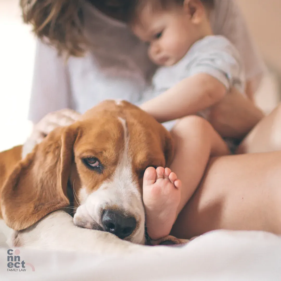 Family Law Property Changes