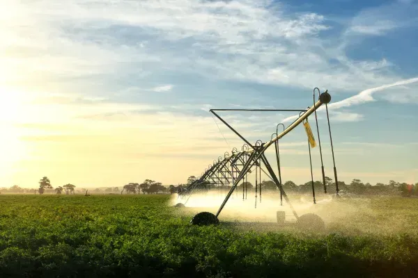 Is Your Lawn Struggling? Expert Irrigation Fixes in Danbury, Essex
