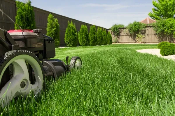 Top 7 Landscape Maintenance Tips for Homeowners in Danbury, UK