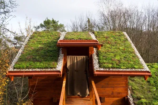 Why Green Roofs Are the Future of Sustainable Living in Ingatestone | Eco-Friendly Roofing