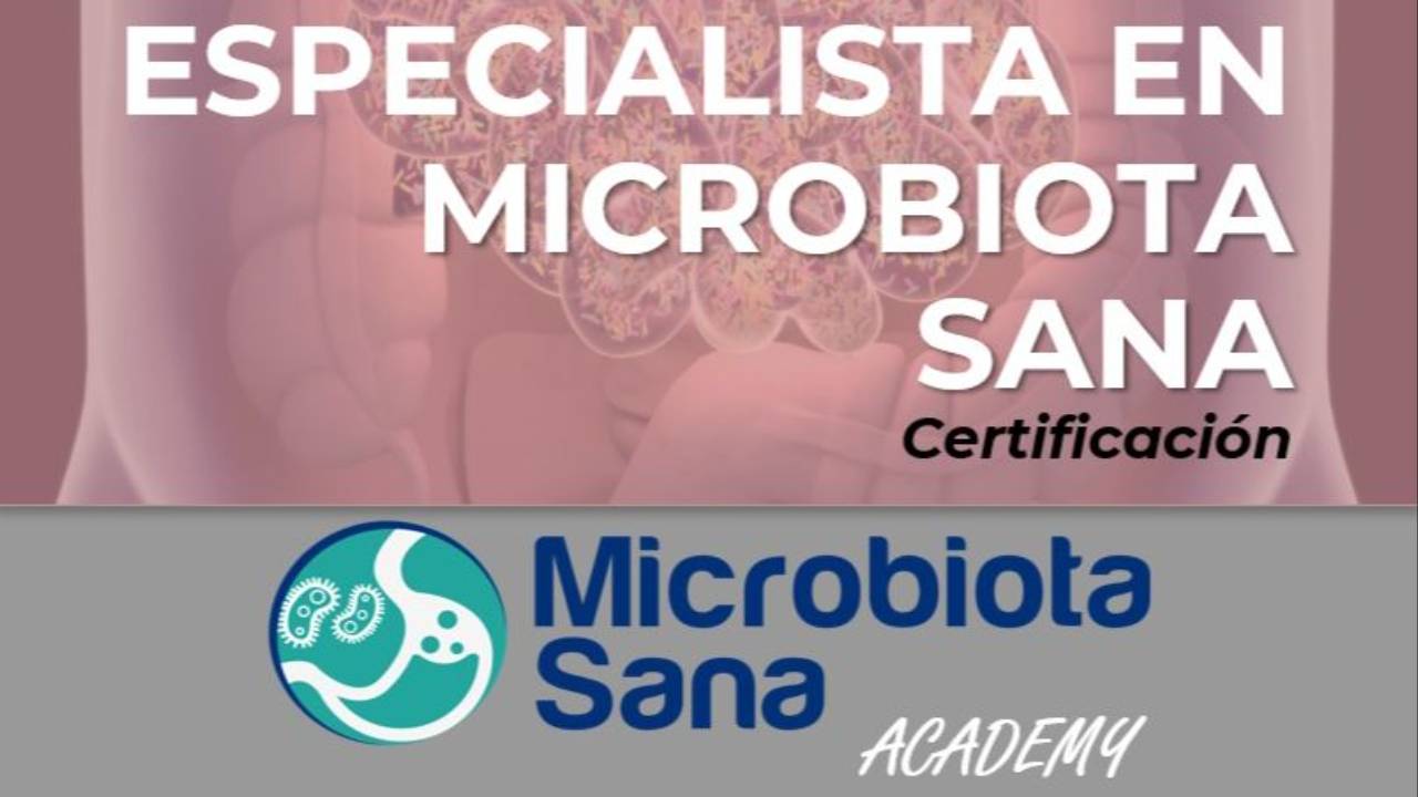 ​Envejecimiento y salud cardiovascular (Parte I). Conquistando corazones jóvenes en cuerpos viejos