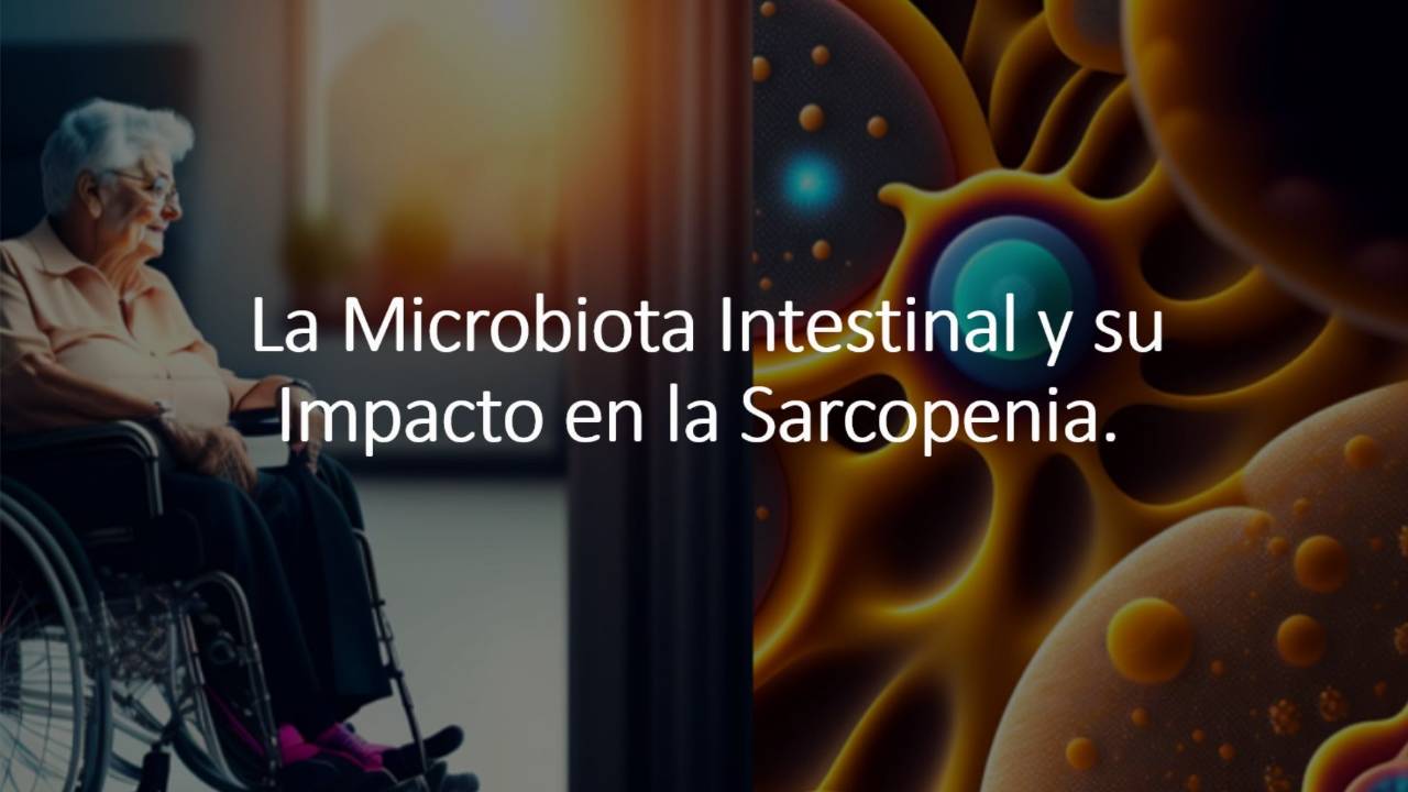 La Microbiota Intestinal y su Impacto en la Sarcopenia: Un Vínculo Crucial para la Salud Muscular en la Vejez