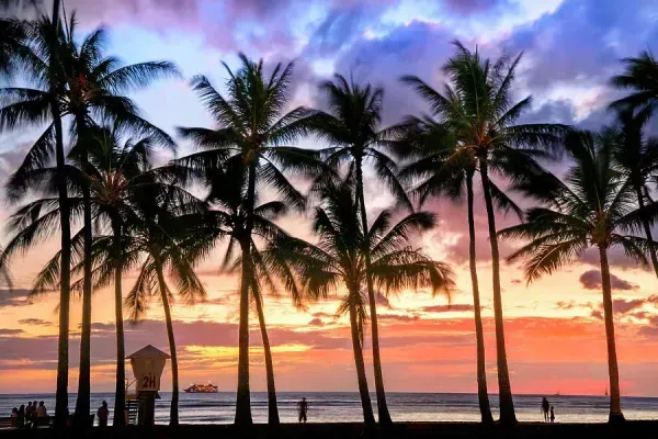 "But I would be in Hawaii"