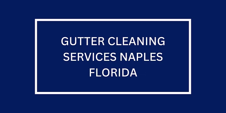 5 Reasons Why You Should Hire Gutter Cleaning Services in Naples