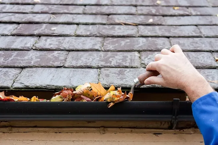 Cleaning Gutters is Important!
