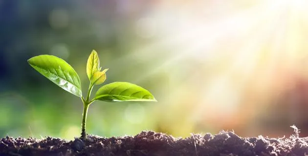 Prepare to Thrive not Just Survive