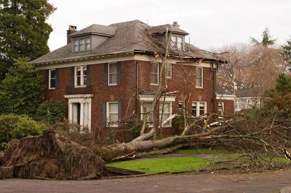 fallen tree due to bad weather damages roof roof