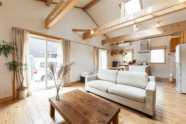 skylight in living room