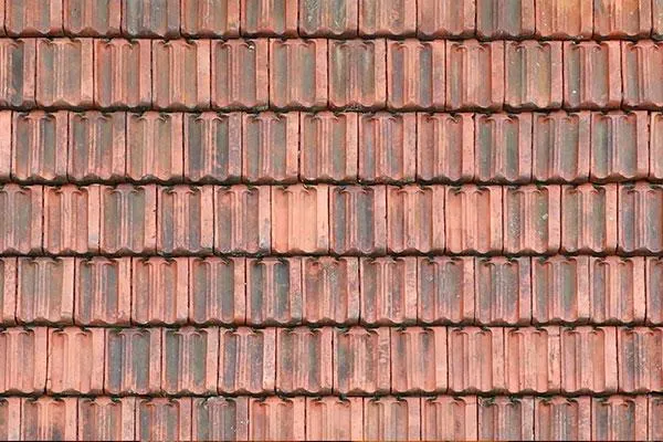 roof shingles with mildew