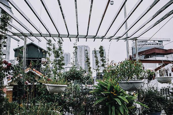 Greenhouse on rooftop