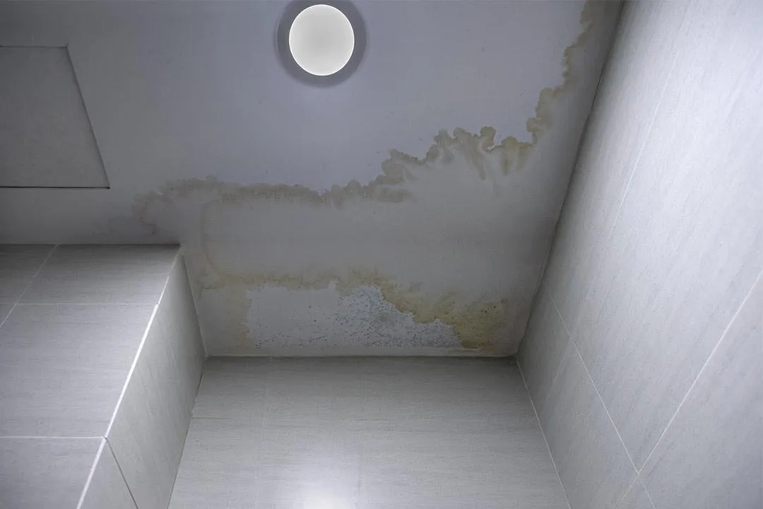 leaking roof