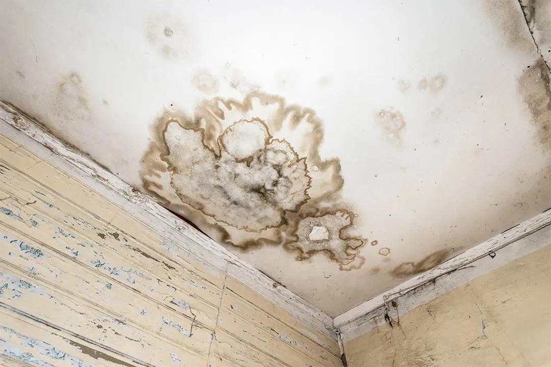 roof leak stain