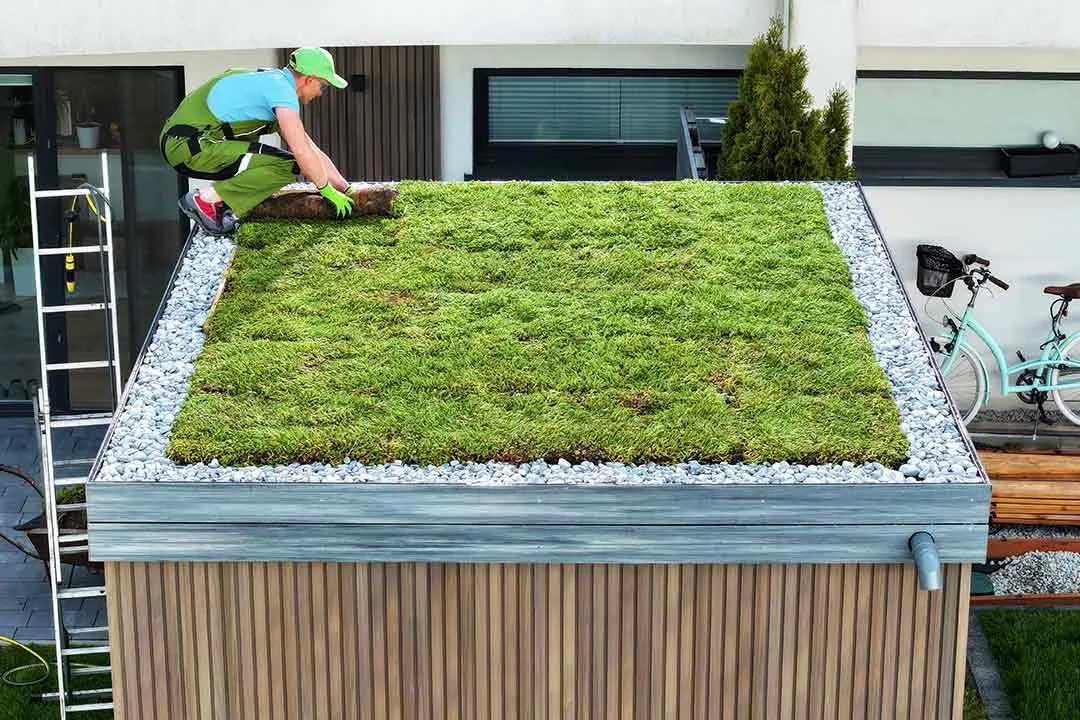 green roof maintenance