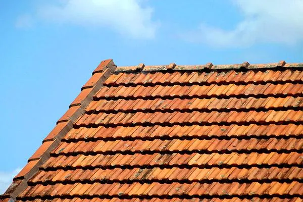 orange terracotta clay tiled roof