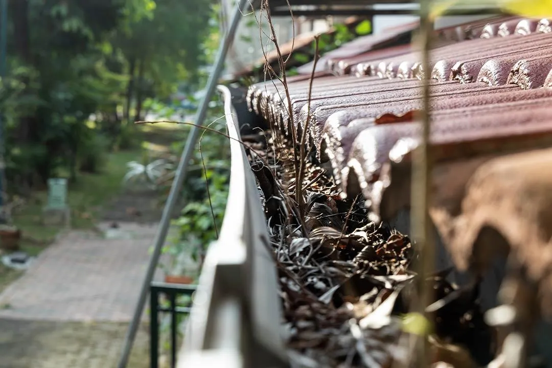 clogged roof gutter