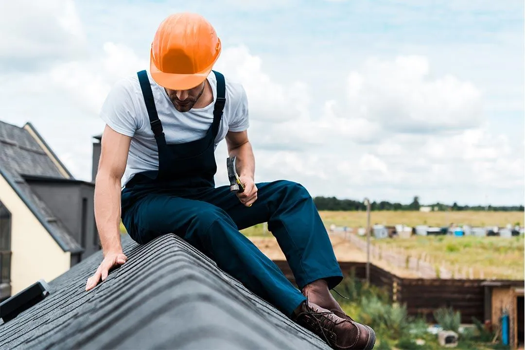 roof checking