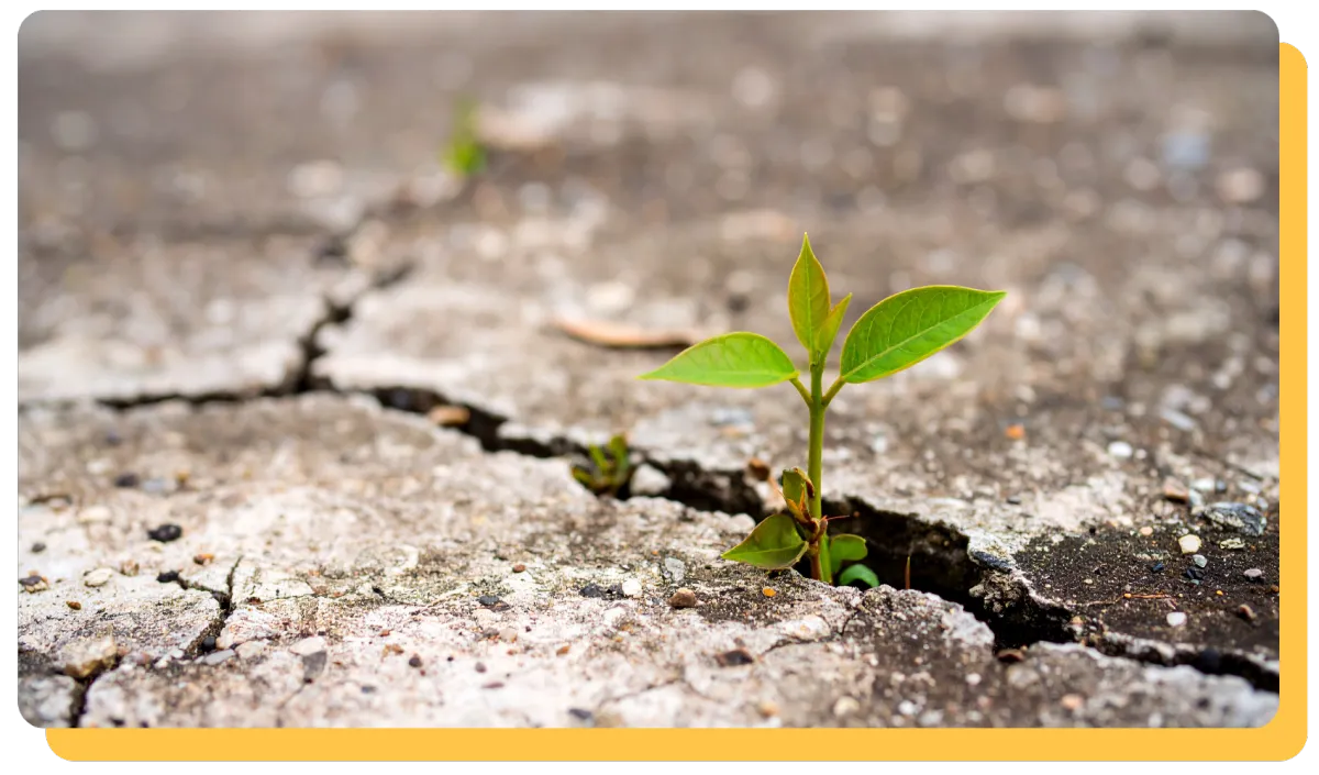 Resilience Is More Than Grit