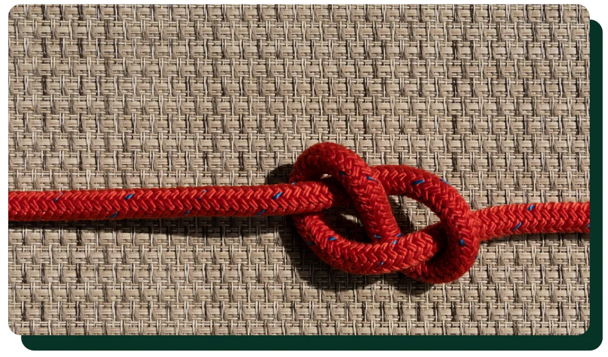 How Healthy Cultures Handle Tension