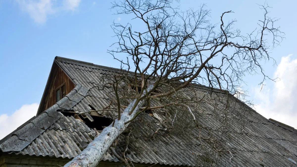 Storm damage roof restoration Dayton TX