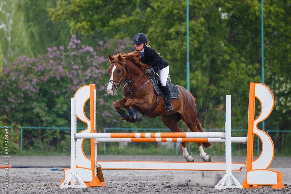 Galloping Through Challenges: Pain and Perseverance in Equestrian Sports