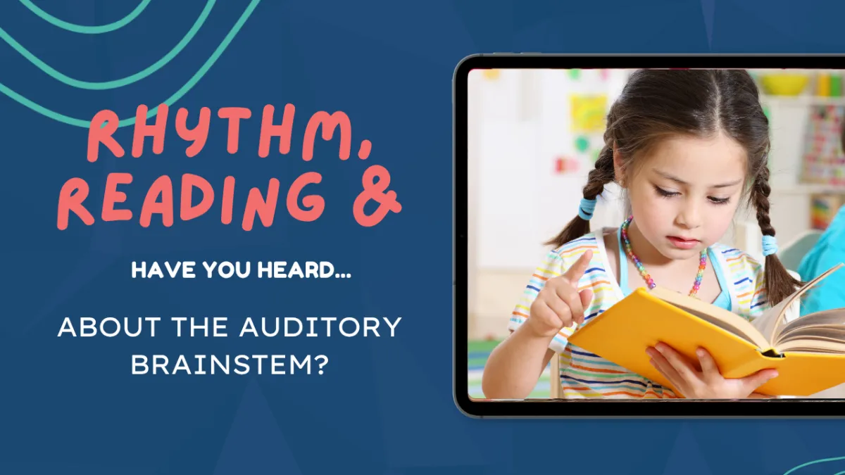 Have you heard about the auditory brainstem?