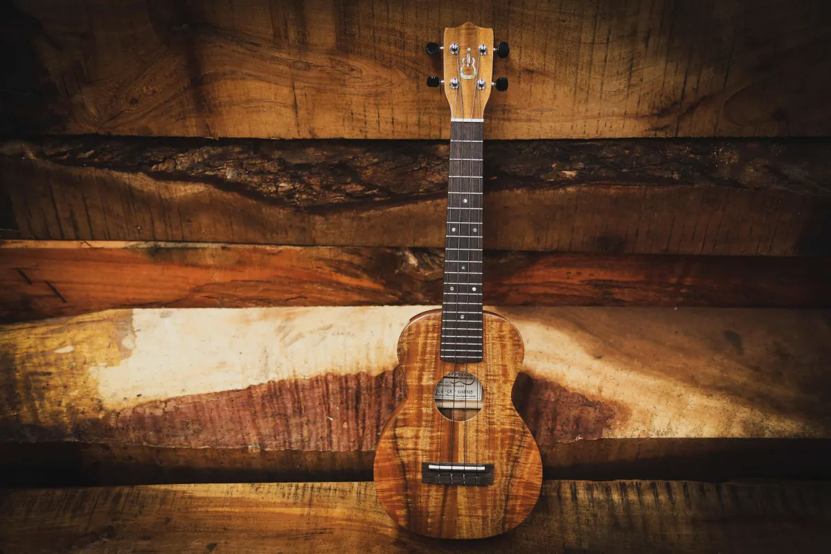 Imua ukulele in Hawaii