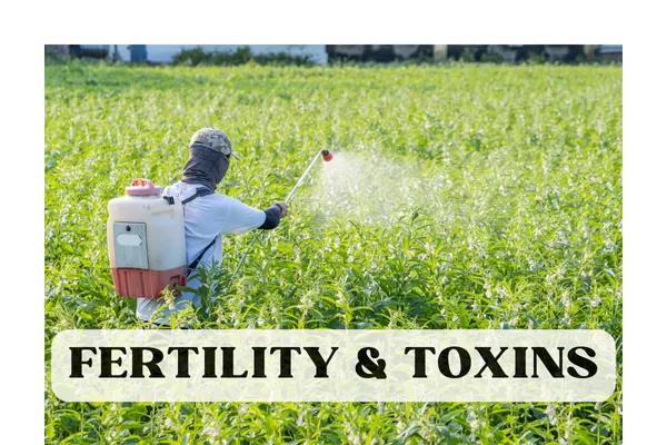 Living in a Toxic Soup Bowl