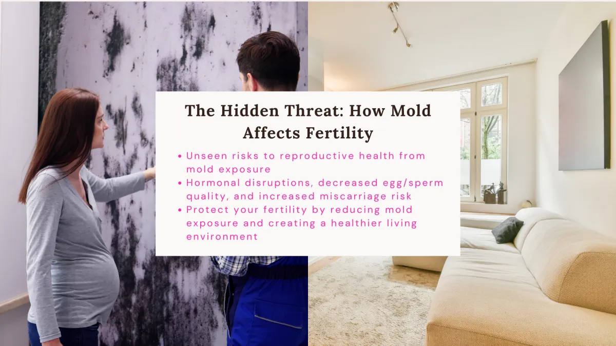 An image depicting the hidden risks of mold on fertility, with mold spores in the background. The contrast between a mold-infested home and a clean, healthy living environment emphasizes the importance of reducing mold exposure for better reproductive health.
