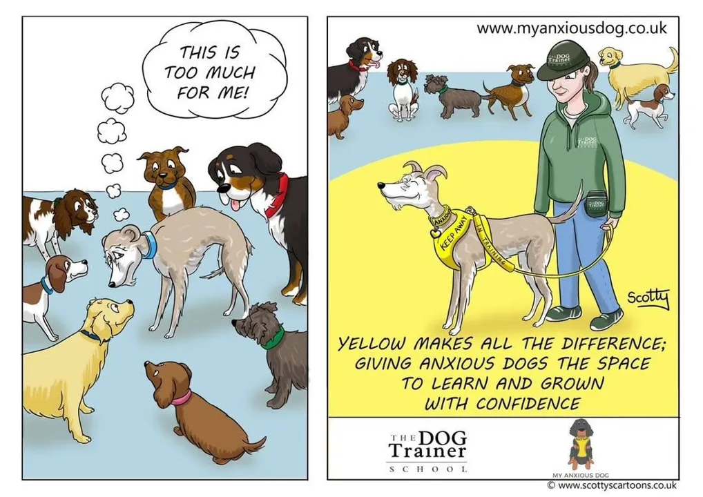 Cartoon
