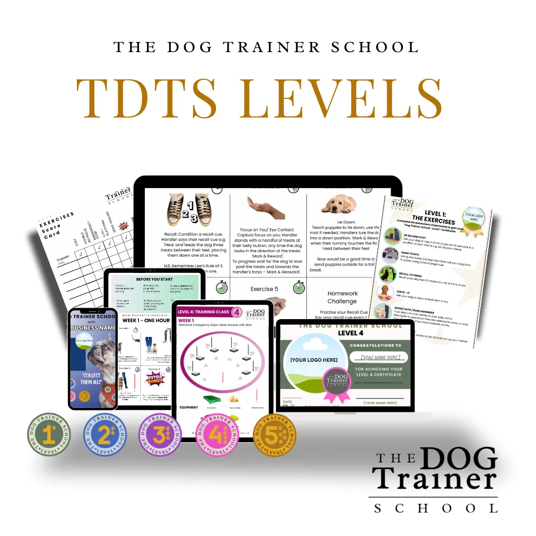 TDTS Levels