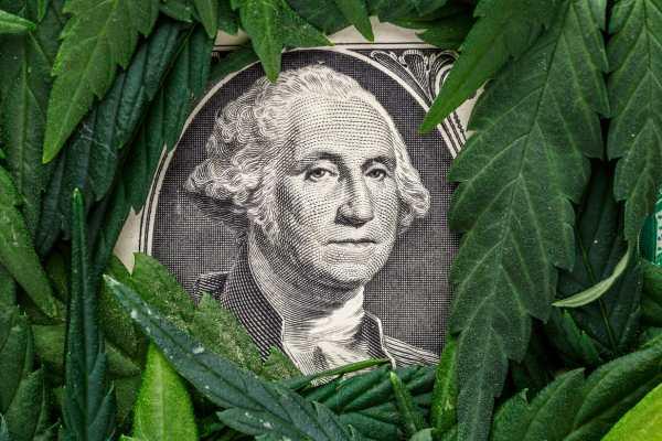 Cannabis Collections Cash Crunch