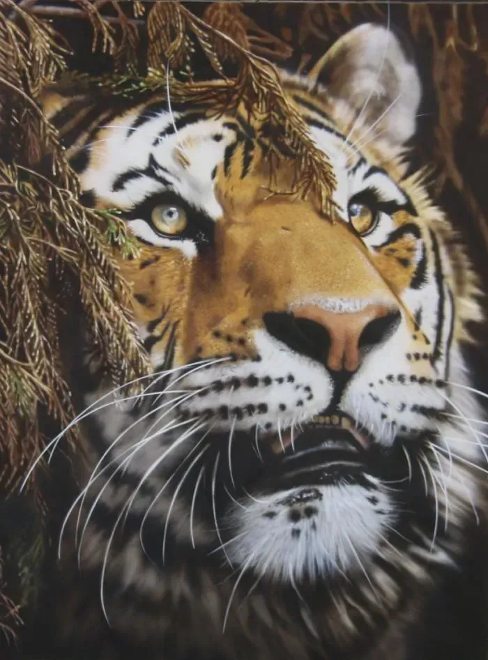 Tiger Canvas Art @ davebristowgallery.com