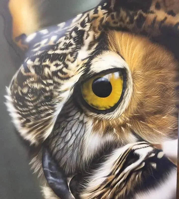 Owl Canvas Art @ davebristowgallery.com