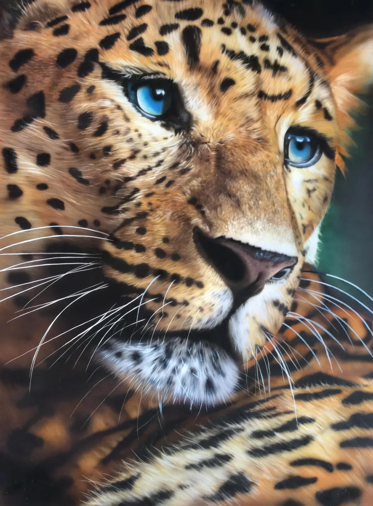 Leopard Canvas Art @ davebristowgallery.com