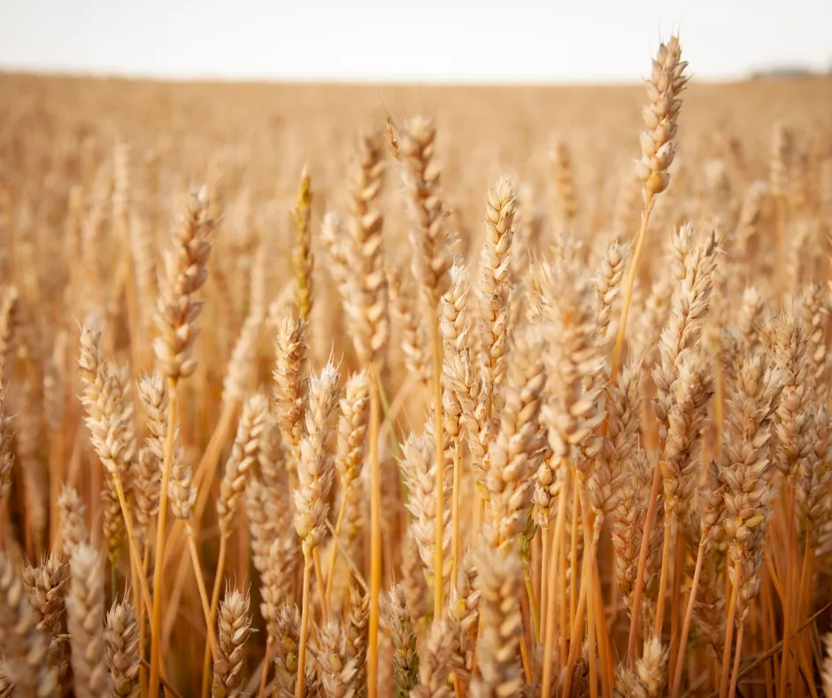 3 Crazy Landowner Benefits 