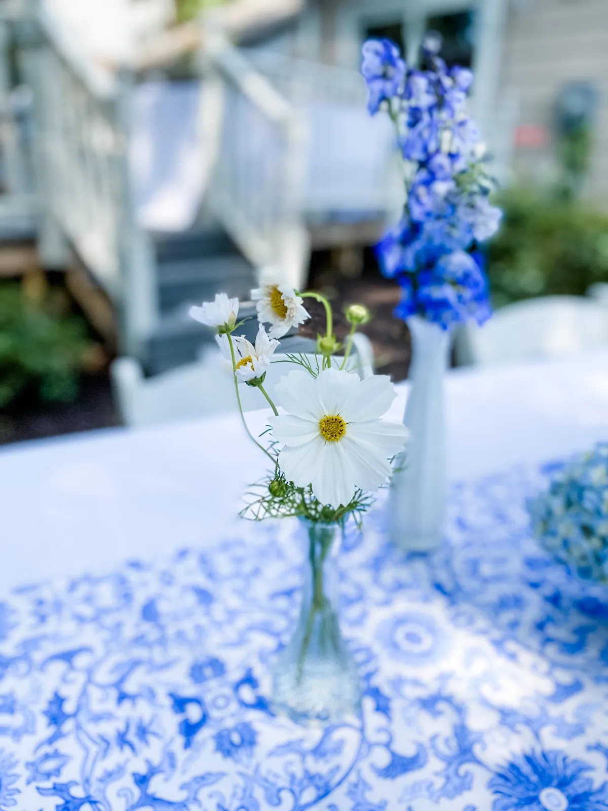 White cosmos in a clear glass bud vase on a dining table