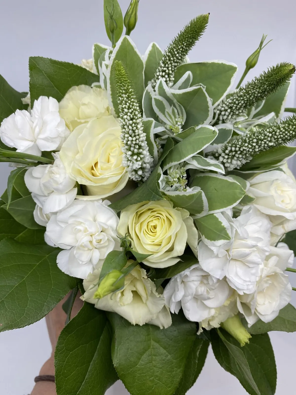 A Biedermeier style bridal bouquet in shades of green, cream, and white with veronica, snow on the mountain, roses, spray roses, mini-carnations, lisianthus and lemon leaf.